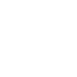 Apple Inc. logo.
